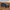 Owl's Nest hybrid foldout rooftop tent by Rocky Mountain Tents, view 3