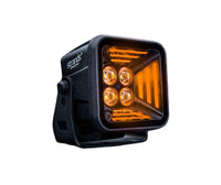 Dark Night Fortex Amber