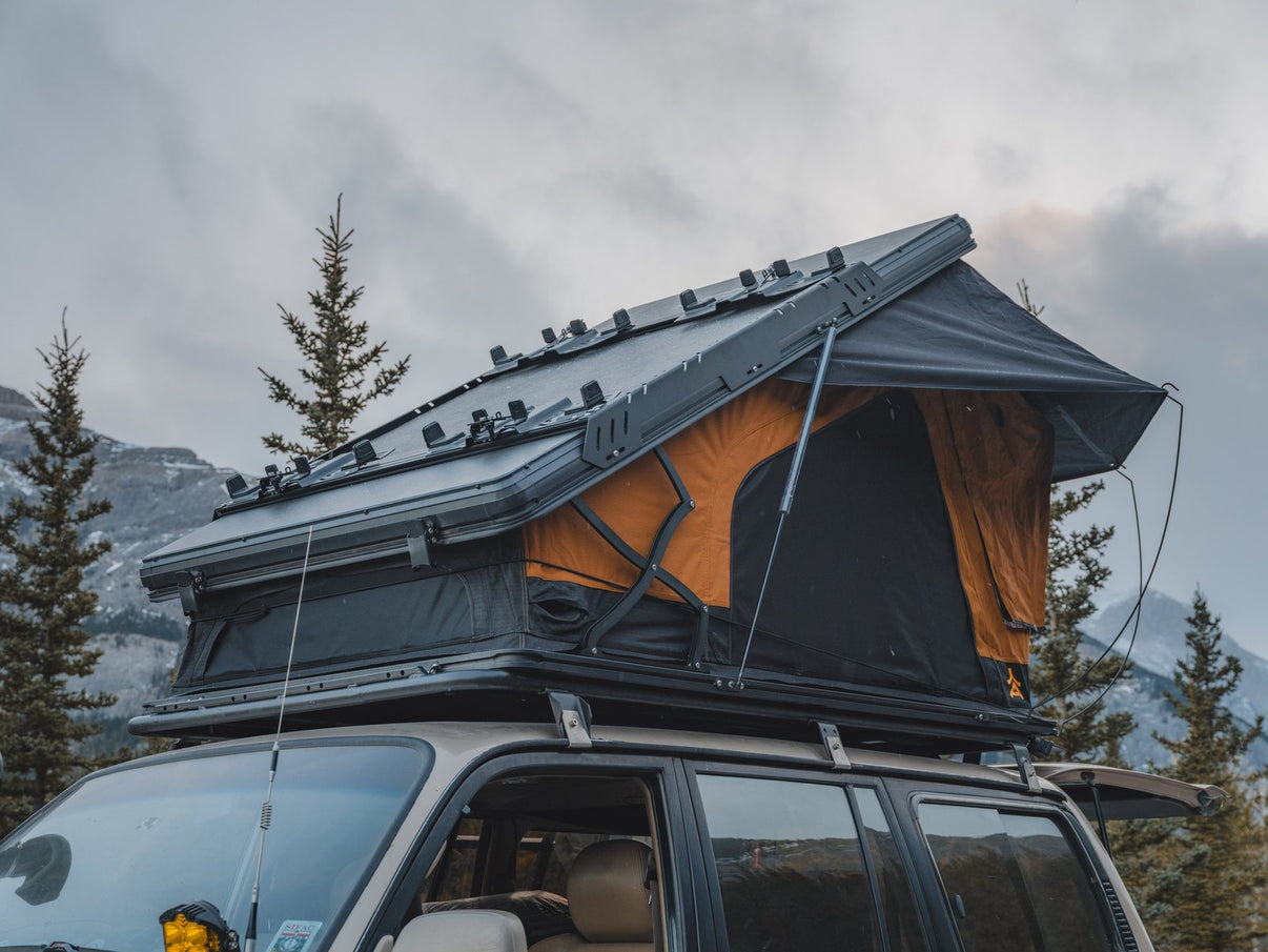 https://amberadventure.ca/wp-content/uploads/2024/12/DSCF5917.jpg