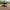 https://cdn.shopify.com/s/files/1/0046/7058/6968/products/tuff-stuff-270o-degree-xl-awning-driver-awning-tuff-stuff-overland-292055.jpg?v=1746460375